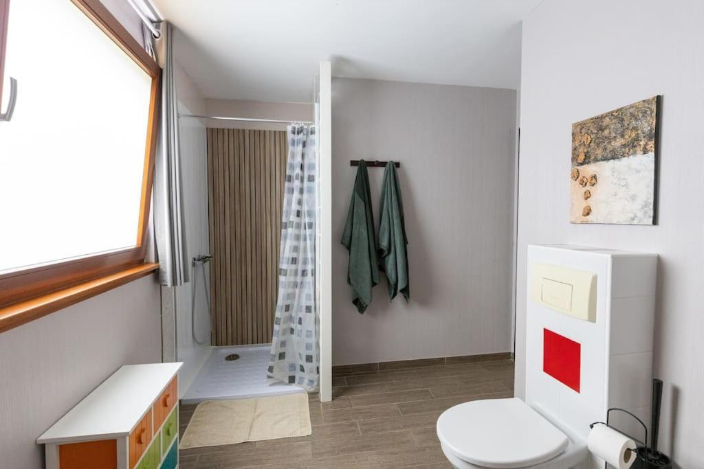 Agreable Maison A La Campagne Schlierbach エクステリア 写真